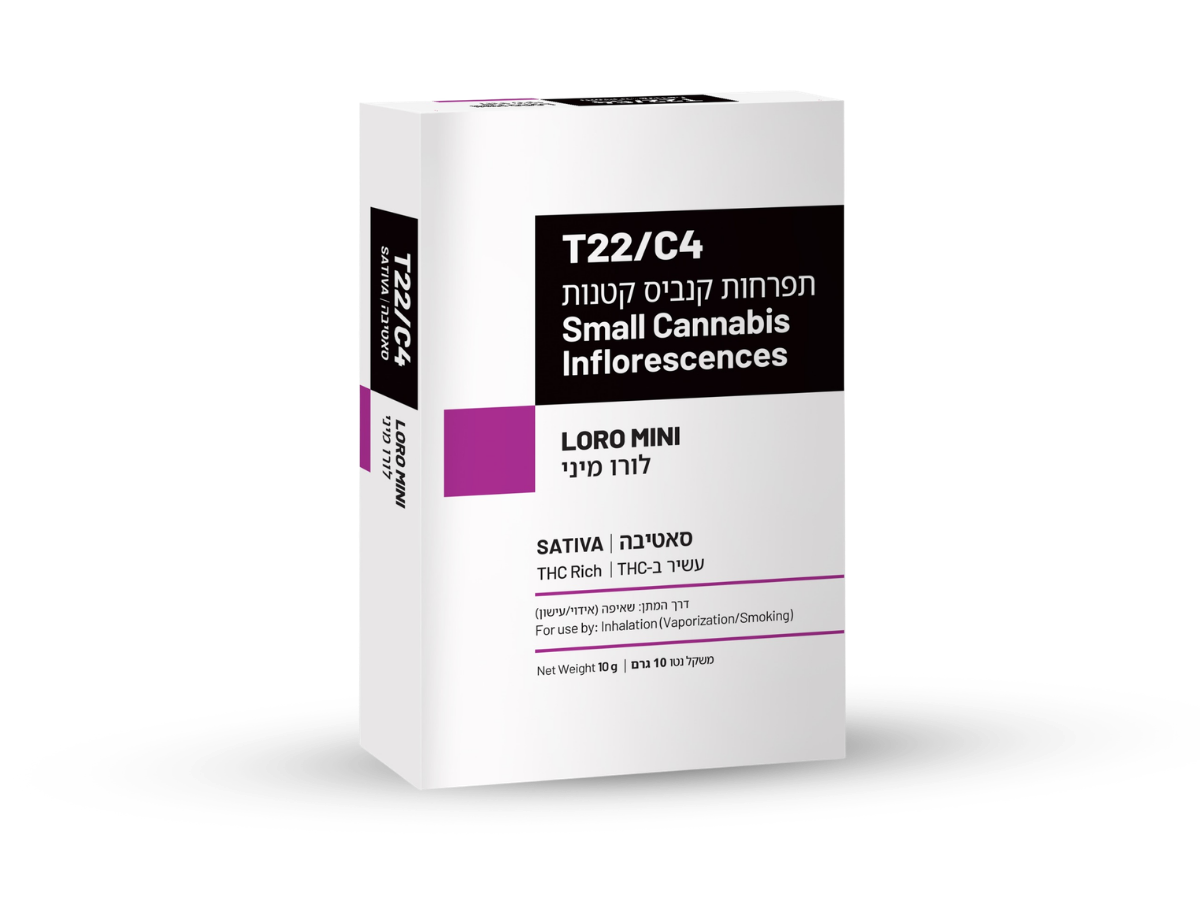 קנאביס רפואי תפרחת גלנווד - T22/C4 - Glenwood שיח מדיקל לילה - אינדיקה