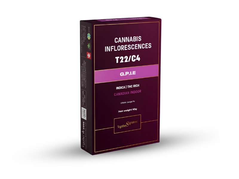 קנאביס רפואי תפרחת ג'י.פי.איי.אי - T22/C4 - G.P.I.E טוגדר פארמה לילה - אינדיקה