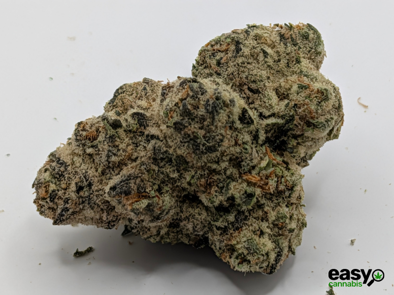 קנאביס רפואי תפרחת אם איי  - T22/C4 - MA פלאנטק מדיקל יום\לילה - היברידי