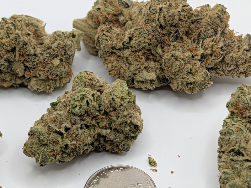 קנאביס רפואי תפרחת טי איי  - T22/C4 - TA פלאנטק מדיקל לילה - אינדיקה