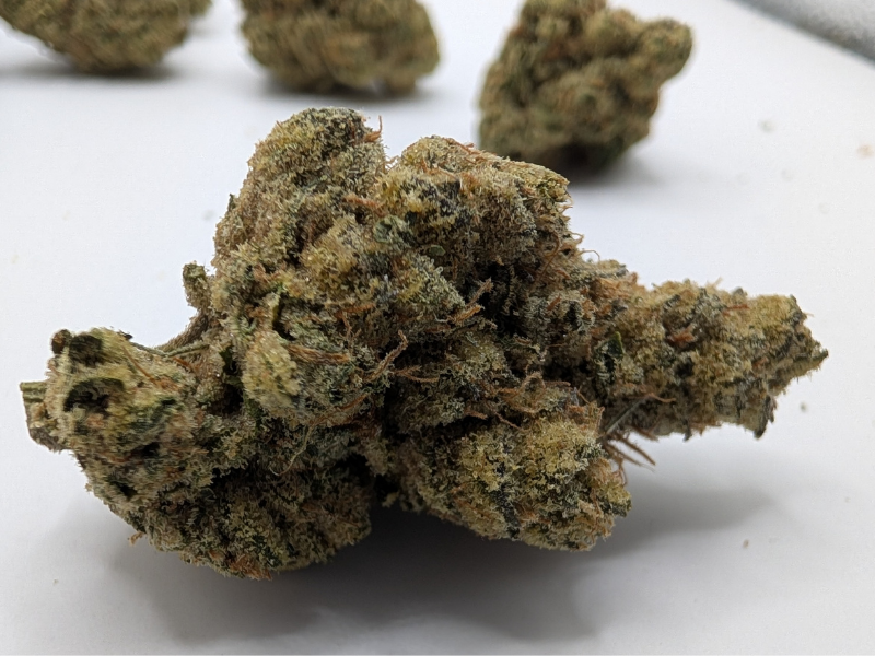 קנאביס רפואי תפרחת קיו - T22/C4 - Q פלאנטק מדיקל לילה - אינדיקה