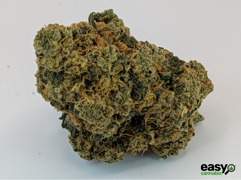 קנאביס רפואי תפרחת לאבו - T22/C4 - Labo טריכום יום\לילה - היברידי