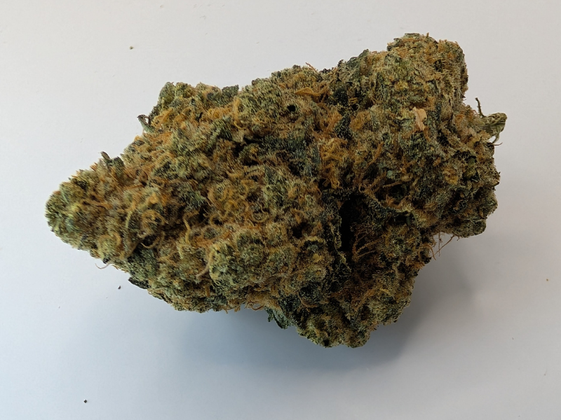 קנאביס רפואי תפרחת לאבו - T22/C4 - Labo טריכום יום\לילה - היברידי