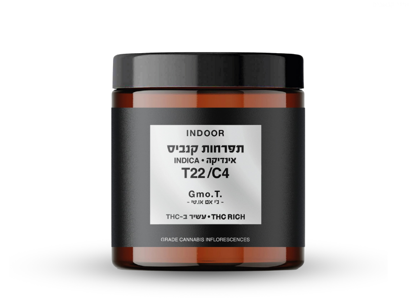קנאביס רפואי תפרחת ג'י אם או.טי - T22/C4 - GMO.T קנאבר לילה - אינדיקה