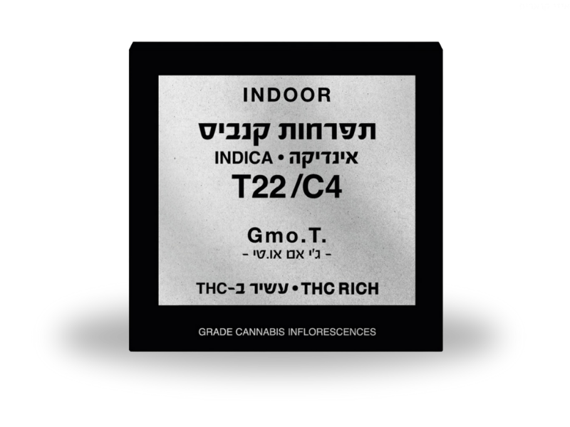 קנאביס רפואי תפרחת ג'י אם או.טי - T22/C4 - GMO.T קנאבר לילה - אינדיקה