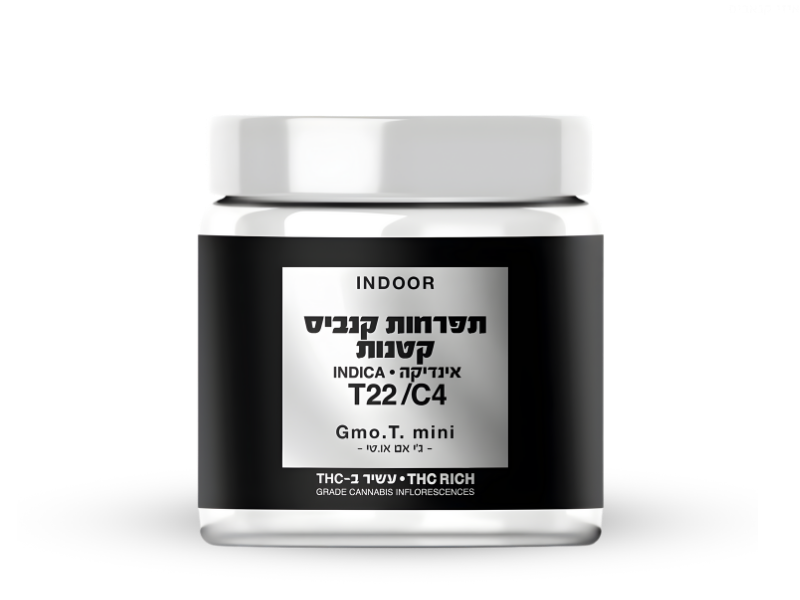 קנאביס רפואי תפרחת ג'י אם או.טי מיני - T22/C4 - GMO.T Mini קנאבר לילה - אינדיקה
