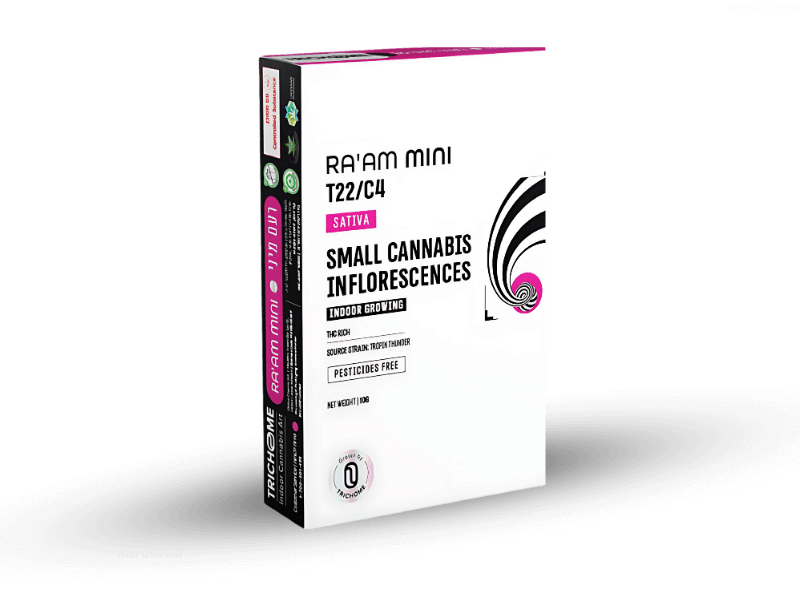קנאביס רפואי תפרחת רעם מיני - T22/C4 - Raam Mini טריכום יום - סאטיבה