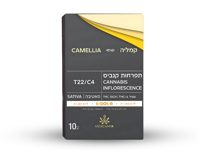 קנאביס רפואי תפרחת קמליה - T22/C4 - CAMELLIA מדיקן איקס יום - סאטיבה