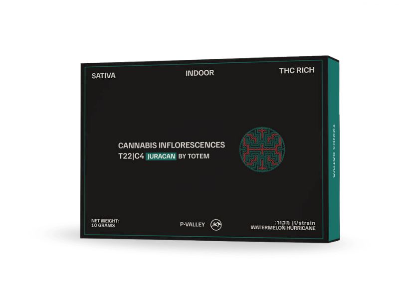 קנאביס רפואי תפרחת ג'וראקאן - T22/C4 - Juracan קנדוק יום - סאטיבה