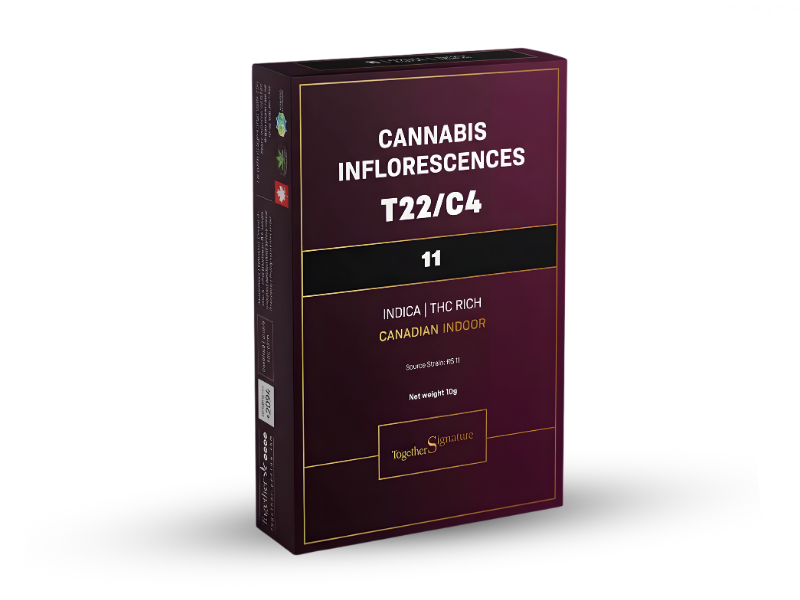 קנאביס רפואי תפרחת 11 - T22/C4 - 11 טוגדר פארמה לילה - אינדיקה