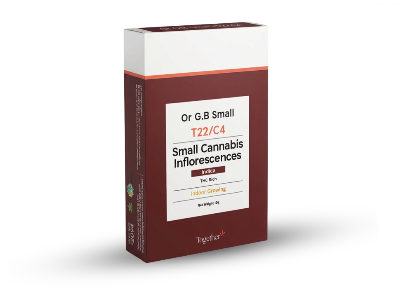 קנאביס רפואי תפרחת אור ג'י.בי מיני - T22/C4 - Or G.B Mini טוגדר פארמה לילה - אינדיקה