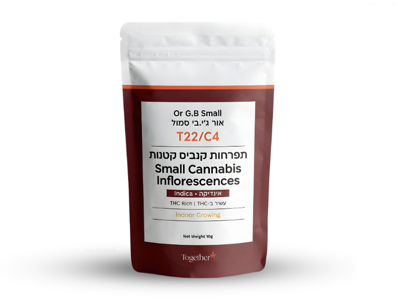 קנאביס רפואי תפרחת אור ג'י.בי מיני - T22/C4 - Or G.B Mini טוגדר פארמה לילה - אינדיקה