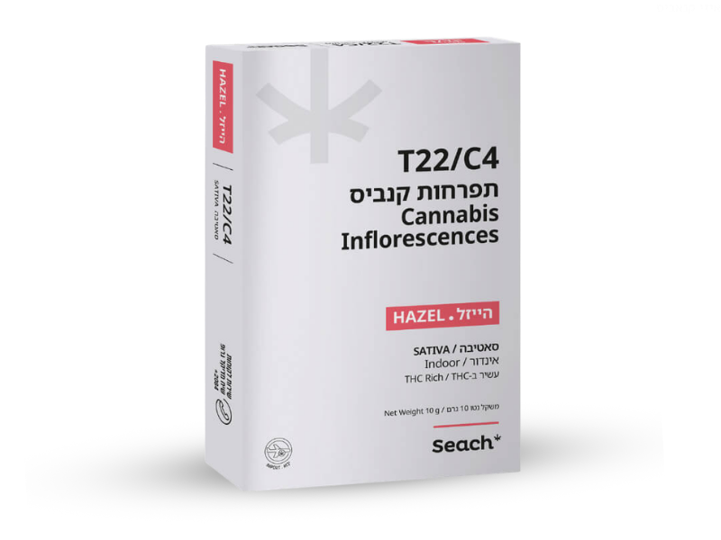 קנאביס רפואי תפרחת הייזל - T22/C4 - Hazel שיח מדיקל יום - סאטיבה