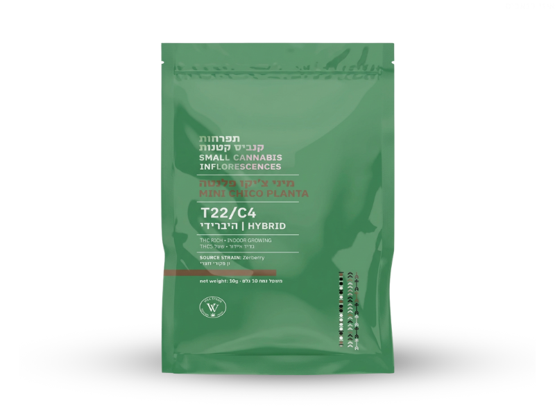 קנאביס רפואי תפרחת פלנטה צ'יקו מיני - T22/C4 - Planta Chico Mini ויטה ורדה יום\לילה - היברידי