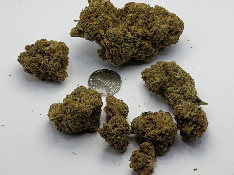 קנאביס רפואי תפרחת ס.גנדי - T22/C4 - S.Gandhi גרינמד לילה - אינדיקה