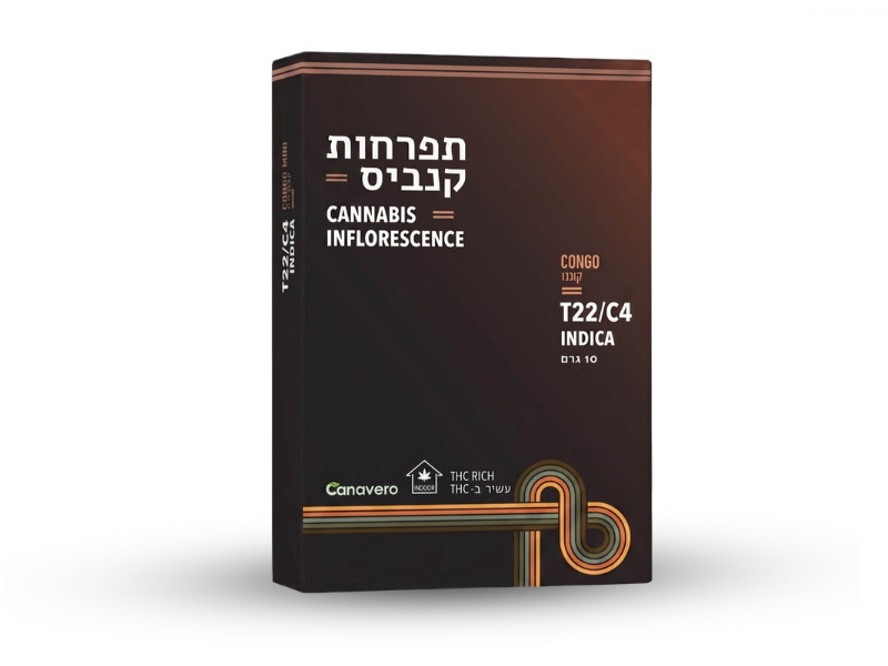 קנאביס רפואי תפרחת קונגו - T22/C4 - CONGO קנטק לילה - אינדיקה