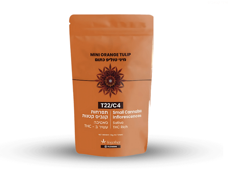 קנאביס רפואי תפרחת אורנג' טוליפ כתום מיני - T22/C4 - Orange Tulip Mini טוגדר פארמה יום - סאטיבה