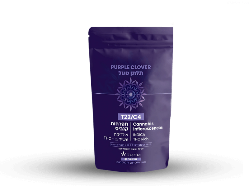 קנאביס רפואי תפרחת פרפל קלובר - T22/C4 - Purple Clover טוגדר פארמה לילה - אינדיקה