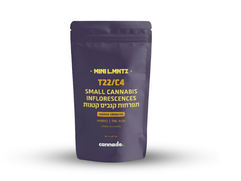 קנאביס רפואי תפרחת ל.מנטז מיני  - T22/C4 - L.MNTZ Mini טוגדר פארמה יום\לילה - היברידי