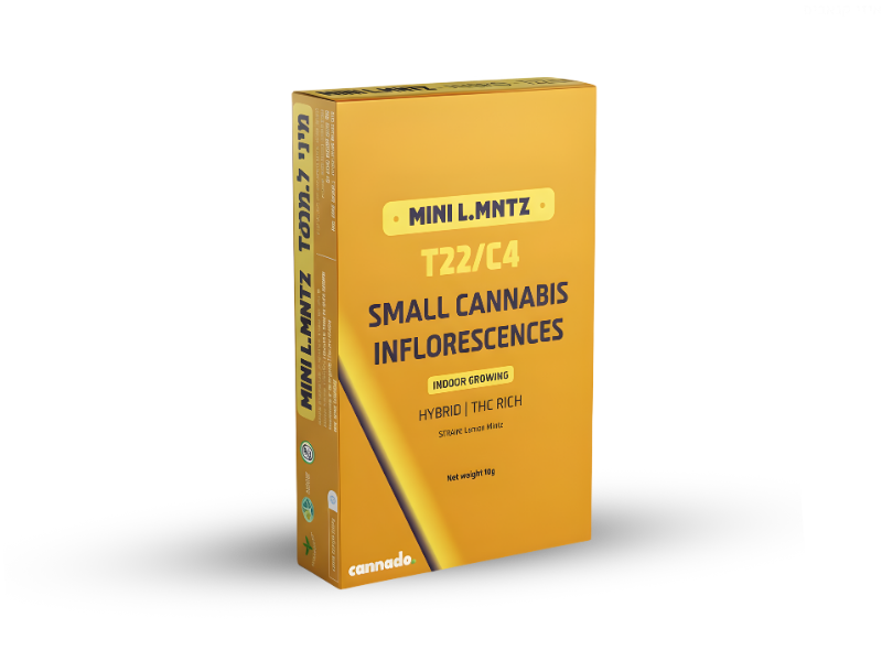קנאביס רפואי תפרחת ל.מנטז מיני  - T22/C4 - L.MNTZ Mini טוגדר פארמה יום\לילה - היברידי