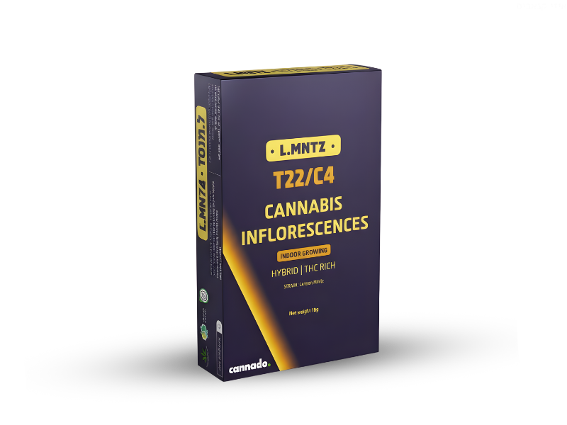 קנאביס רפואי תפרחת ל.מנטז  - T22/C4 - L.MNTZ טוגדר פארמה יום\לילה - היברידי