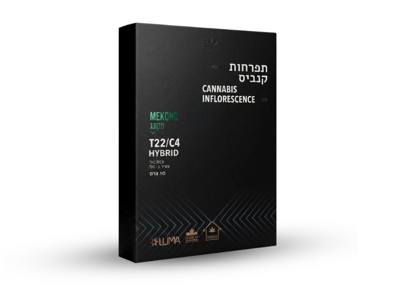 קנאביס רפואי תפרחת מיקונג - T22/C4 - MEKONG קנטק יום\לילה - היברידי