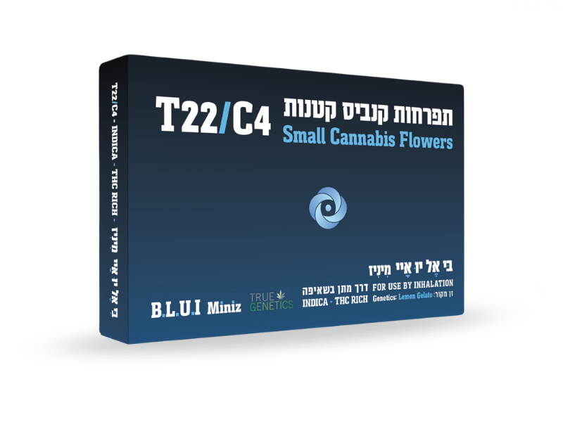 קנאביס רפואי תפרחת בי.אל.יו.איי מיניז  - T22/C4 - B.L.U.I Miniz טרו ג'נטיקס איי.אל לילה - אינדיקה