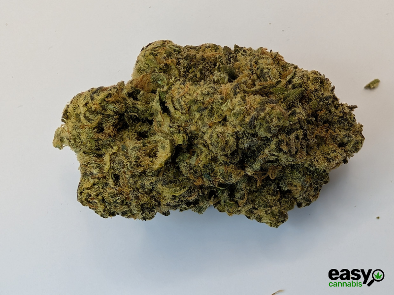 קנאביס רפואי תפרחת אריאה - T22/C4 - Aria מדוקאן לילה - אינדיקה