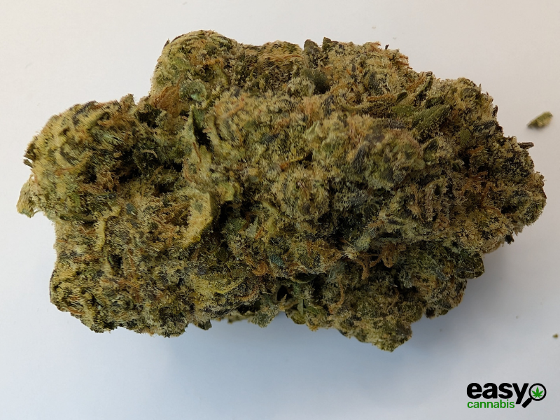 קנאביס רפואי תפרחת אריאה - T22/C4 - Aria מדוקאן לילה - אינדיקה