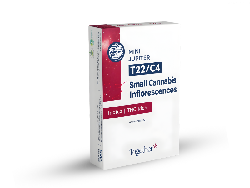 קנאביס רפואי תפרחת יופיטר מיני - T22/C4 - Jupiter Mini טוגדר פארמה לילה - אינדיקה