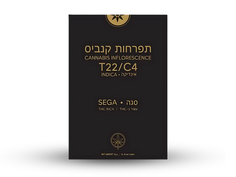 קנאביס רפואי תפרחת סגה - T22/C4 - Sega גרין האוס לילה - אינדיקה