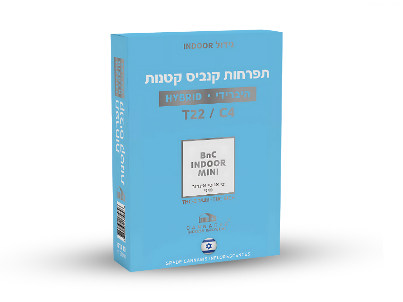 קנאביס רפואי תפרחת בי.אן.סי מיני - T22/C4 - BNC Mini קנאבר יום\לילה - היברידי