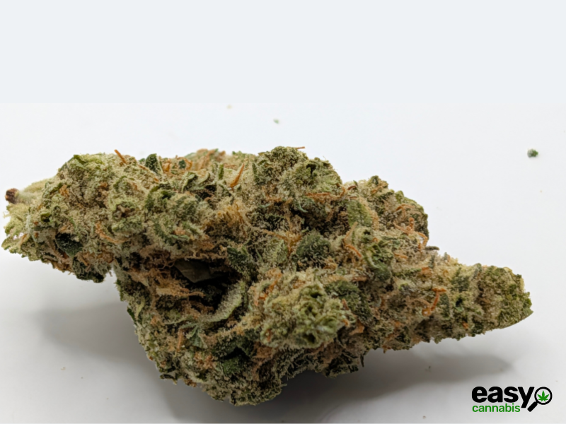 קנאביס רפואי תפרחת אלגרו - T22/C4 - Allegro מדוקאן יום - סאטיבה