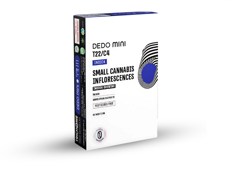 קנאביס רפואי תפרחת דדו מיני - T22/C4 - Dedo Mini טריכום לילה - אינדיקה