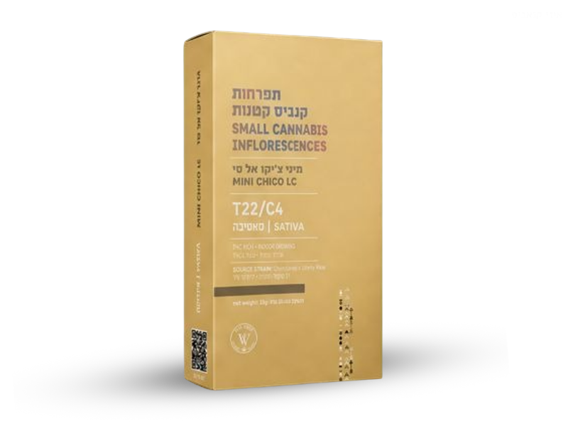 קנאביס רפואי תפרחת אל סי צ'יקו מיני - T22/C4 - LC Chico Mini ויטה ורדה יום - סאטיבה