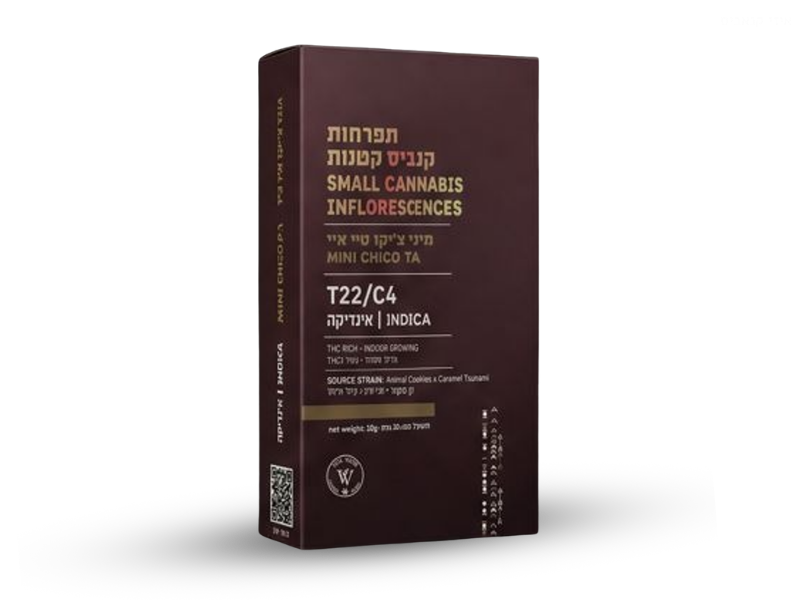 קנאביס רפואי תפרחת טי איי צ'יקו מיני  - T22/C4 - TA Chico Mini פלאנטק מדיקל לילה - אינדיקה