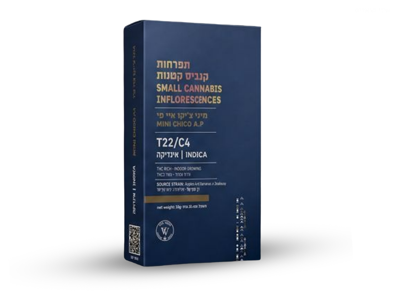 קנאביס רפואי תפרחת איי פי צ'יקו מיני - T22/C4 - AP Chico Mini ויטה ורדה לילה - אינדיקה