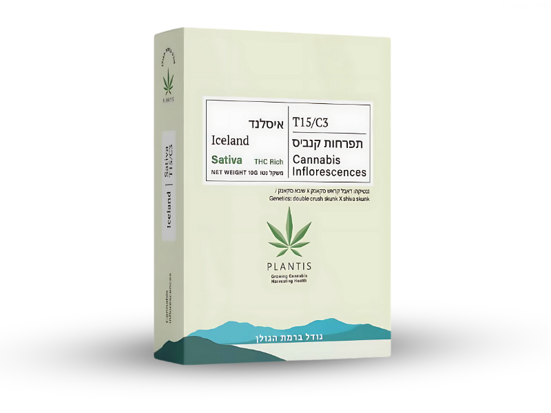 קנאביס רפואי תפרחת איסלנד - T15/C3 - Iceland פלאנטיס יום - סאטיבה
