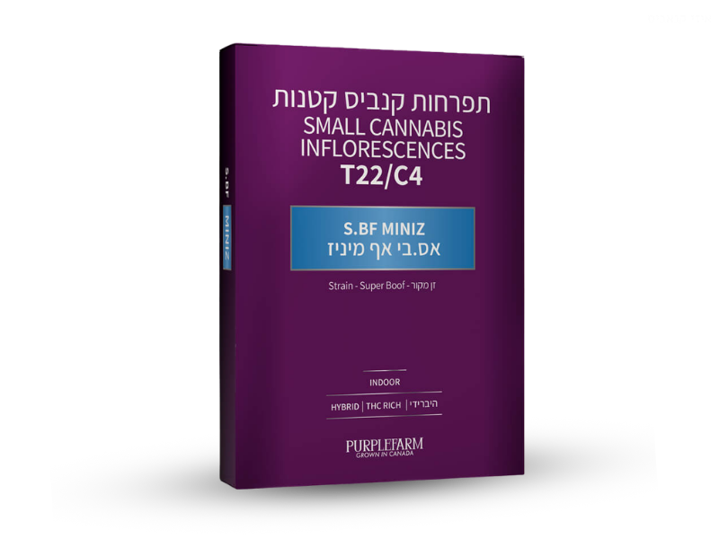 קנאביס רפואי תפרחת אס.בי אף מיניז - T22/C4 - S.BF Miniz קנדוק יום\לילה - היברידי