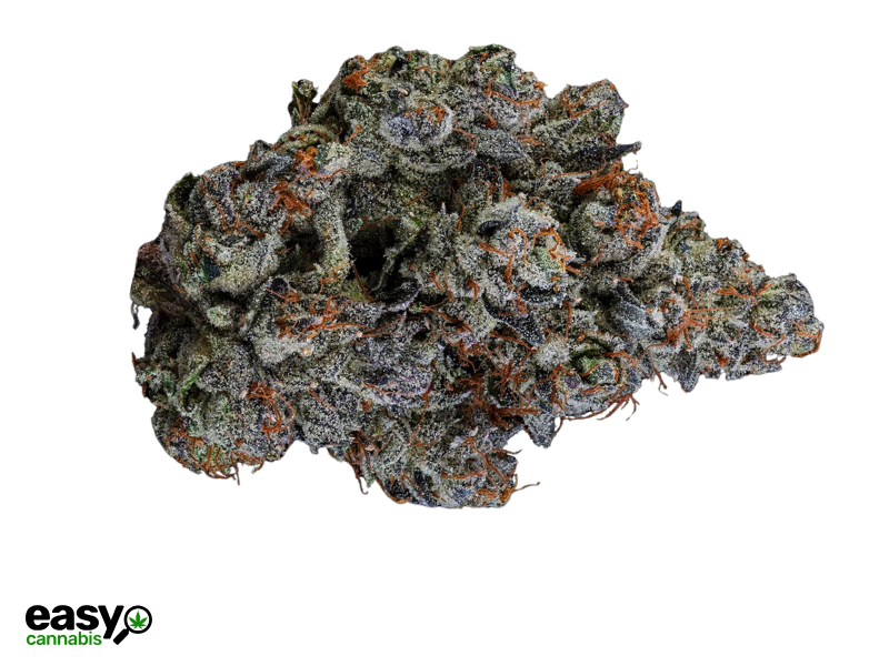 קנאביס רפואי תפרחת איי.סיטי - T22/C4 - I.City איי.אמ.סי לילה - אינדיקה