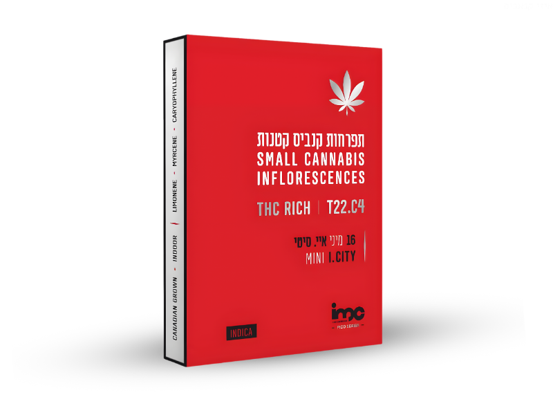 קנאביס רפואי תפרחת איי.סיטי מיני - T22/C4 - I.City Mini איי.אמ.סי לילה - אינדיקה