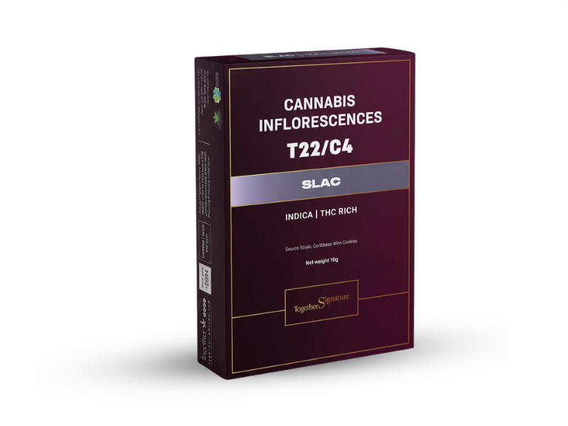קנאביס רפואי תפרחת סלאק - T22/C4 - Slac טוגדר פארמה לילה - אינדיקה