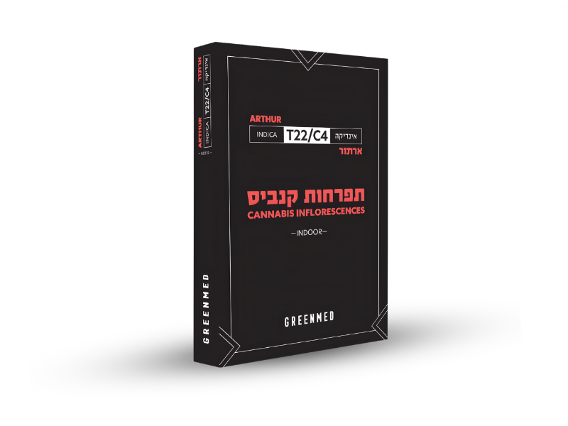 קנאביס רפואי תפרחת ארתור - T22/C4 - Arthur גרינמד לילה - אינדיקה