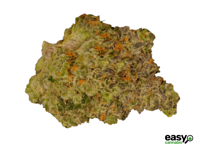 קנאביס רפואי תפרחת סולו דיטו - T22/C4 - SOLO Dito מדוקאן יום\לילה - היברידי