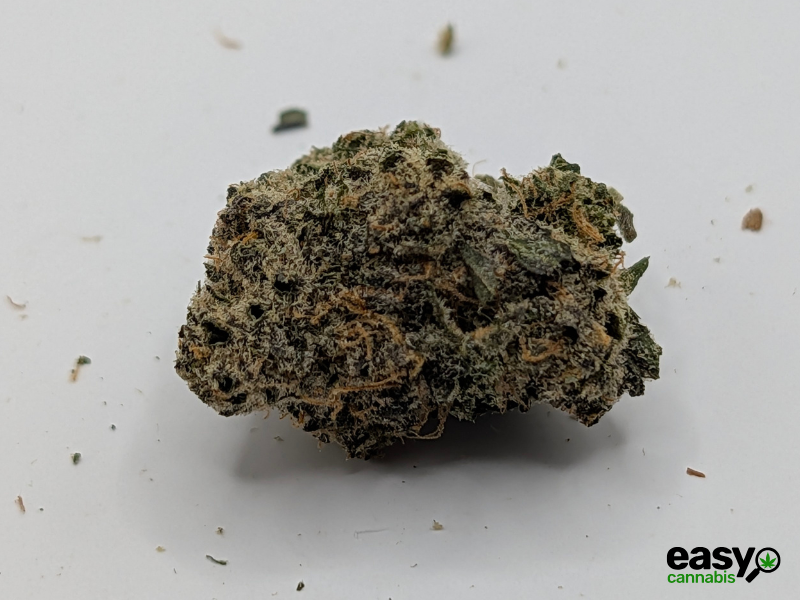 קנאביס רפואי תפרחת רינץ' איקס - T22/C4 - Rinch X גרינקום יום\לילה - היברידי