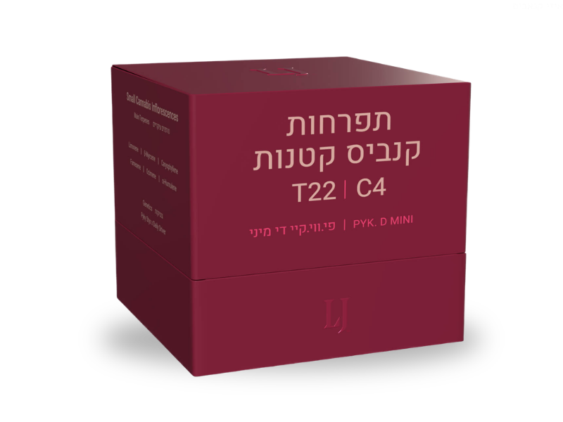 קנאביס רפואי תפרחת פי.ווי.קי די מיני - T22/C4 - PYK D Mini פיס נטורלס יום - סאטיבה