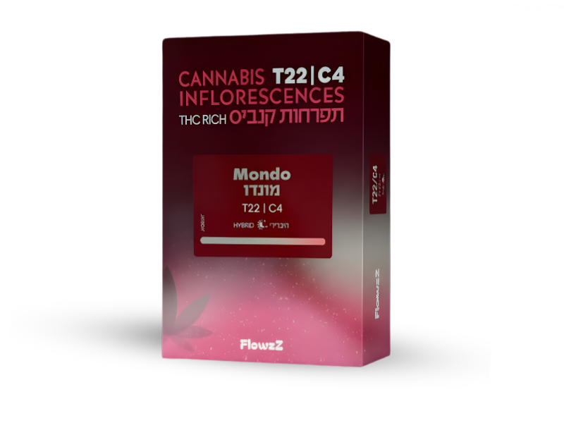 קנאביס רפואי תפרחת מונדו - T22/C4 - Mondo בזלת פארמה יום\לילה - היברידי