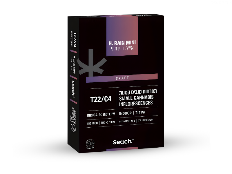 קנאביס רפואי תפרחת אייץ' ריין מיני - T22/C4 - Hrain Mini שיח מדיקל לילה - אינדיקה