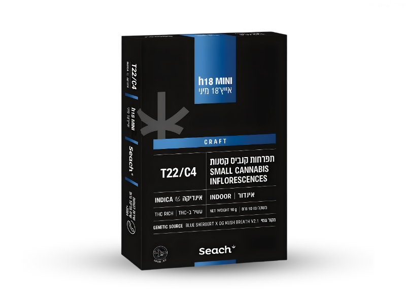 קנאביס רפואי תפרחת אייץ'18 מיני - T22/C4 - H18 שיח מדיקל לילה - אינדיקה