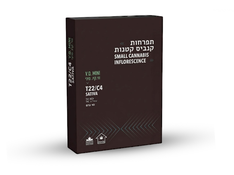 קנאביס רפואי תפרחת ווי קיו מיני - T22/C4 - VQ Mini קנטק יום - סאטיבה